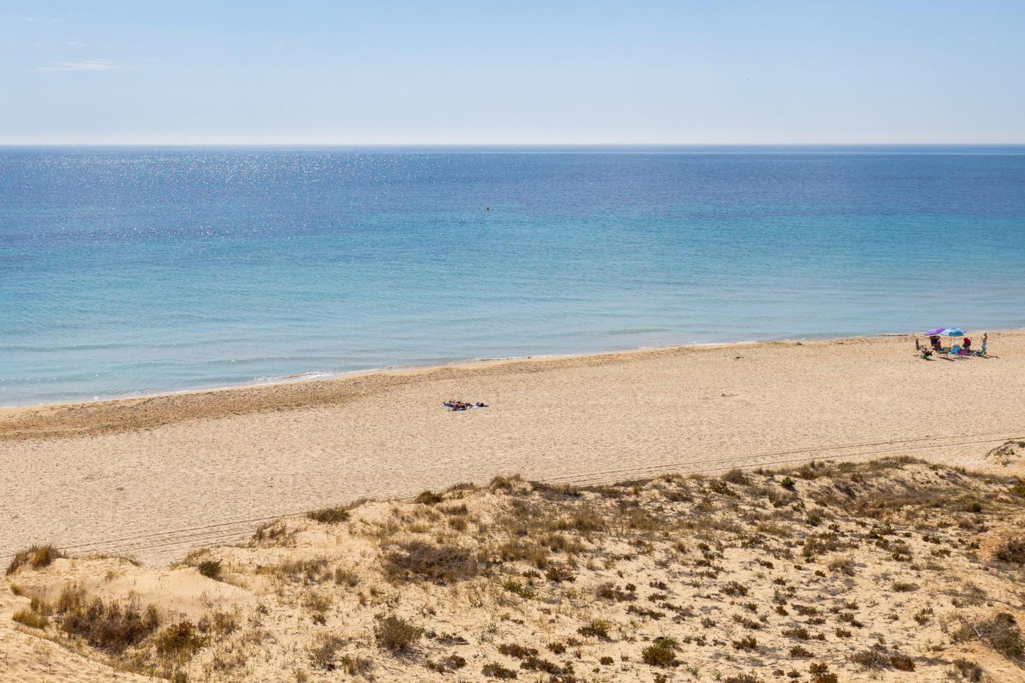 Paradise Palms By Fidalsa Dehesa de Campoamor  Eksteriør bilde